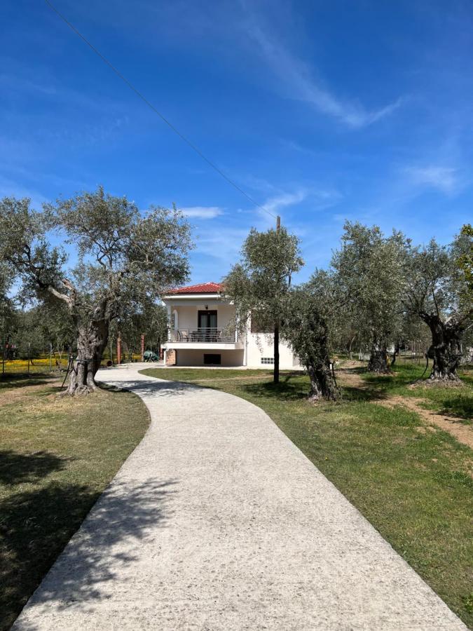 Villa Calypso Skala Rachoni  Esterno foto