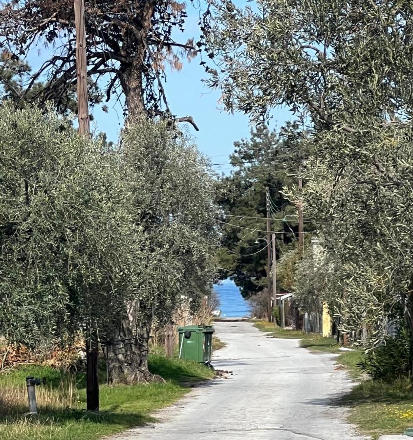 Villa Calypso Skala Rachoni  Esterno foto